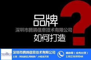 企業(yè)網(wǎng)絡(luò)營(yíng)銷渠道的多元化發(fā)展與策略整合